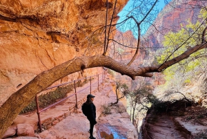 Odkryj Zion: prywatna wycieczka fotograficzna z Las Vegas