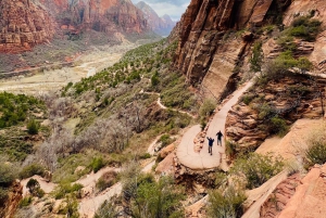 Odkryj Zion: prywatna wycieczka fotograficzna z Las Vegas