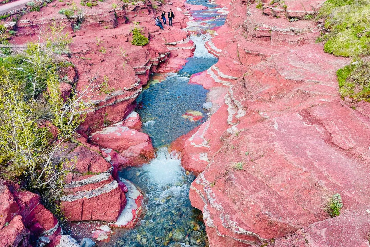 Desde Calgary: tour guiado por el Parque Nacional Waterton