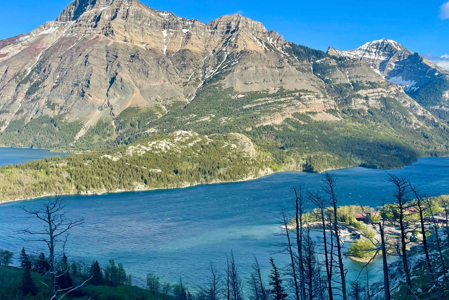 Desde Calgary: tour guiado por el Parque Nacional Waterton
