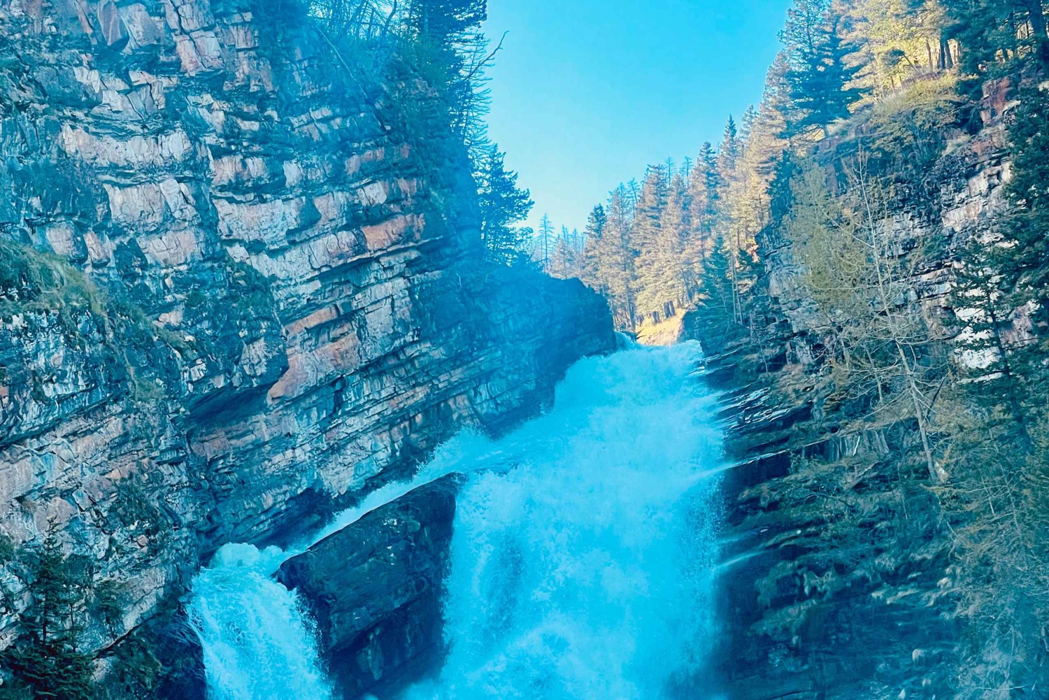 Desde Calgary: tour guiado por el Parque Nacional Waterton