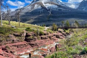 Desde Calgary: tour guiado por el Parque Nacional Waterton