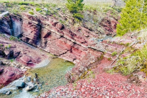 Desde Calgary: tour guiado por el Parque Nacional Waterton