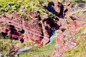 Desde Calgary: tour guiado por el Parque Nacional Waterton
