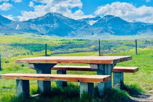 Desde Calgary: tour guiado por el Parque Nacional Waterton