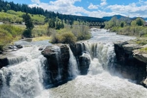 Desde Calgary: tour guiado por el Parque Nacional Waterton