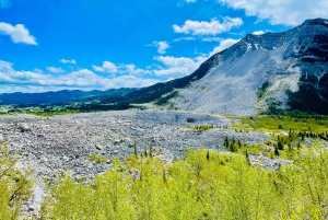 Desde Calgary: tour guiado por el Parque Nacional Waterton