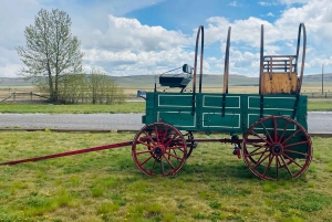 Desde Calgary: tour guiado por el Parque Nacional Waterton