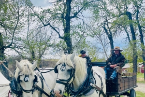 Desde Calgary: tour guiado por el Parque Nacional Waterton