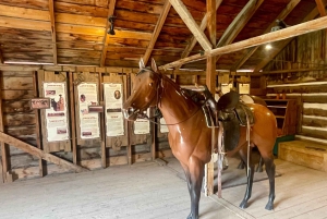 Desde Calgary: tour guiado por el Parque Nacional Waterton