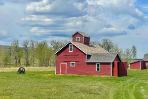 Desde Calgary: tour guiado por el Parque Nacional Waterton