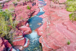 Desde Calgary: tour guiado por el Parque Nacional Waterton