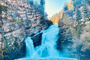 Desde Calgary: tour guiado por el Parque Nacional Waterton