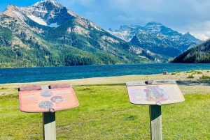 Desde Calgary: tour guiado por el Parque Nacional Waterton