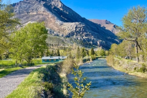 Desde Calgary: tour guiado por el Parque Nacional Waterton