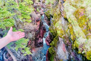 Desde Calgary: tour guiado por el Parque Nacional Waterton