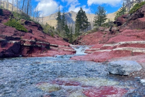 Desde Calgary: tour guiado por el Parque Nacional Waterton