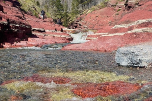 Desde Calgary: tour guiado por el Parque Nacional Waterton