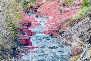 Desde Calgary: tour guiado por el Parque Nacional Waterton