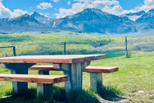 Desde Calgary: tour guiado por el Parque Nacional Waterton