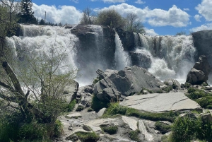 Desde Calgary: tour guiado por el Parque Nacional Waterton