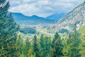 Desde Calgary: tour guiado por el Parque Nacional Waterton