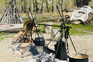 Desde Calgary: tour guiado por el Parque Nacional Waterton