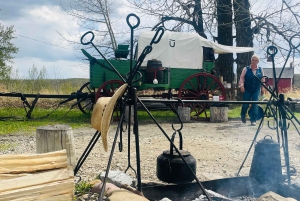 Desde Calgary: tour guiado por el Parque Nacional Waterton