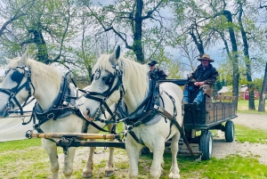 Desde Calgary: tour guiado por el Parque Nacional Waterton