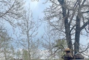 Desde Calgary: tour guiado por el Parque Nacional Waterton