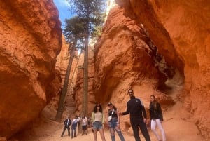 Depuis Las Vegas : Excursion de 3 jours à Bryce, Zion et au Grand Canyon