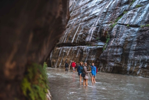 Vanuit Las Vegas: 4-daagse retraite in het wilde westen