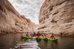 From Las Vegas: 5-Day National Parks of the Wild West Tour