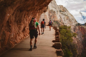 From Las Vegas: 5-Day National Parks of the Wild West Tour