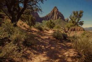 Da Las Vegas: escursione di 7 giorni con i Mighty 5 e il campeggio del Grand Canyon