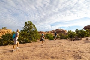 Fra Las Vegas: 7-dages tur til nationalparkerne i Utah og Arizona