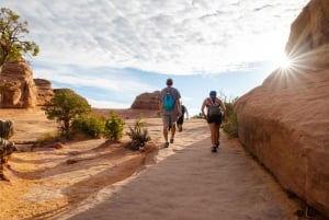 De Las Vegas: Excursão de 7 dias aos Parques Nacionais de Utah e Arizona