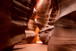 Las Vegas: Cañón del Antílope y Horseshoe Bend con almuerzo