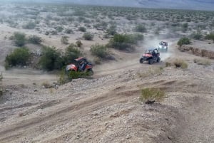 Depuis Las Vegas : Aventure quad hors route