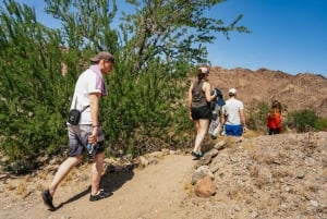De Las Vegas: Passeio de Caiaque em Black Canyon