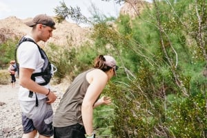 Från Las Vegas: Halvdagsutflykt med kajak i Black Canyon