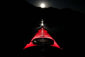 Desde Las Vegas Excursión crepuscular en kayak por el Cañón Negro