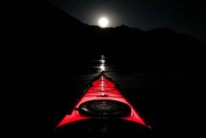 Från Las Vegas: Black Canyon Twilight Kayak Tour