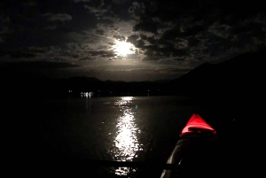 Från Las Vegas: Black Canyon Twilight Kayak Tour