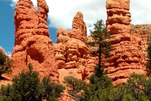 Vanuit Las Vegas: Bryce Canyon en Zion Park Combo Tour