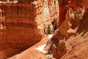 Vanuit Las Vegas: Bryce Canyon en Zion Park Combo Tour