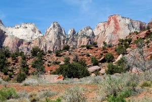Vanuit Las Vegas: Bryce Canyon en Zion Park Combo Tour