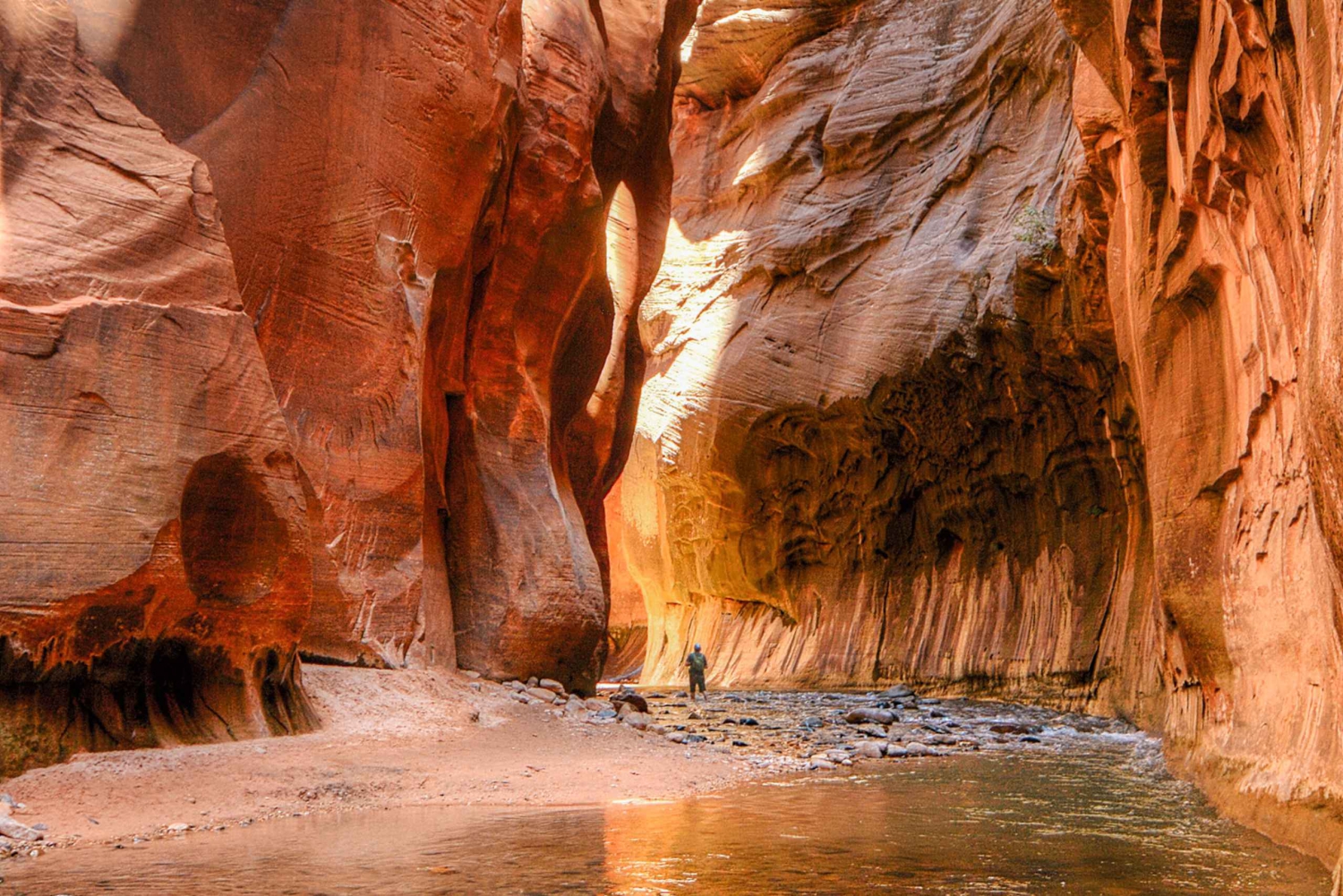 ラスベガス発：ブライス キャニオンとザイオン パーク ツアー（昼食付き）