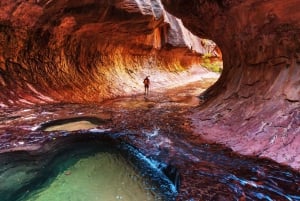 ラスベガス発：ブライス キャニオンとザイオン パーク ツアー（昼食付き）