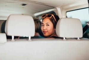 ラスベガス発：ブライス キャニオンとザイオン パーク ツアー（昼食付き）